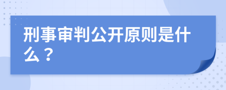 刑事审判公开原则是什么？