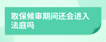 取保候审期间还会进入法庭吗