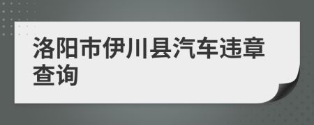 洛阳市伊川县汽车违章查询