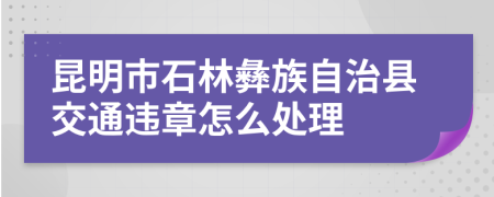 昆明市石林彝族自治县交通违章怎么处理