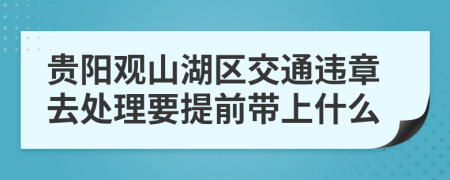 贵阳观山湖区交通违章去处理要提前带上什么