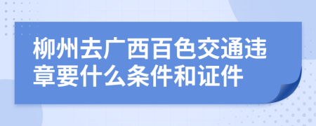 柳州去广西百色交通违章要什么条件和证件