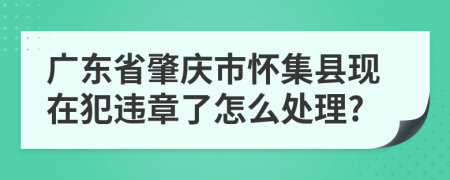 广东省肇庆市怀集县现在犯违章了怎么处理?