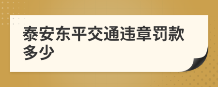 泰安东平交通违章罚款多少