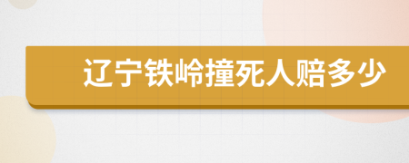 辽宁铁岭撞死人赔多少