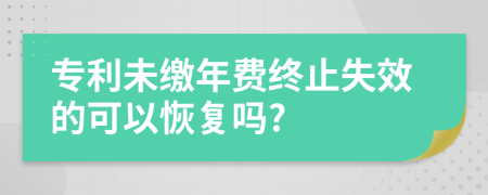 专利未缴年费终止失效的可以恢复吗?