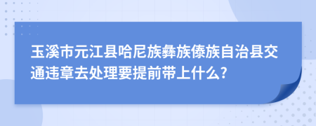 玉溪市元江县哈尼族彝族傣族自治县交通违章去处理要提前带上什么?