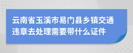 云南省玉溪市易门县乡镇交通违章去处理需要带什么证件