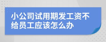 小公司试用期发工资不给员工应该怎么办