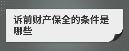 诉前财产保全的条件是哪些