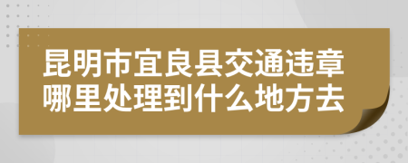 昆明市宜良县交通违章哪里处理到什么地方去