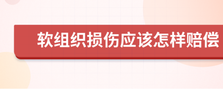 软组织损伤应该怎样赔偿