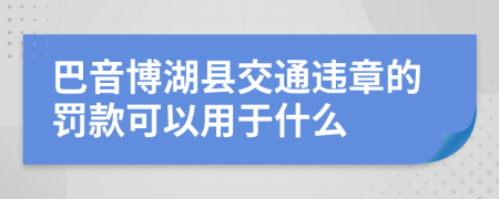 巴音博湖县交通违章的罚款可以用于什么