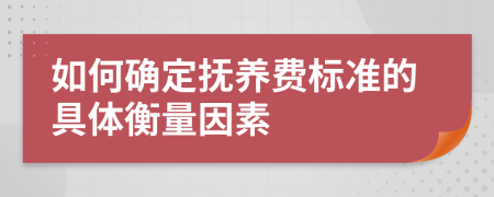 如何确定抚养费标准的具体衡量因素