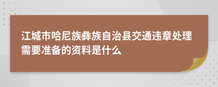 江城市哈尼族彝族自治县交通违章处理需要准备的资料是什么