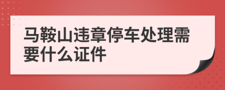 马鞍山违章停车处理需要什么证件