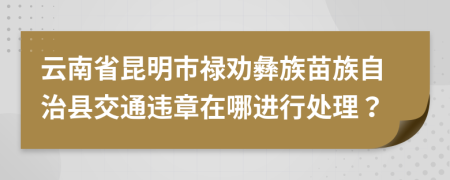 云南省昆明市禄劝彝族苗族自治县交通违章在哪进行处理？