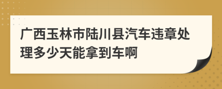 广西玉林市陆川县汽车违章处理多少天能拿到车啊