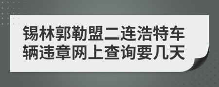 锡林郭勒盟二连浩特车辆违章网上查询要几天
