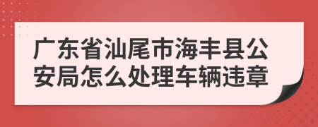 广东省汕尾市海丰县公安局怎么处理车辆违章