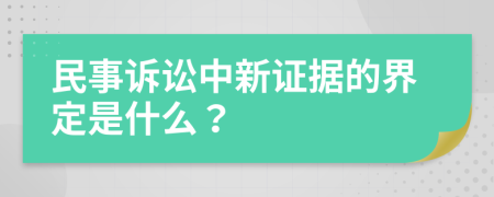 民事诉讼中新证据的界定是什么？