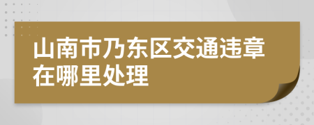 山南市乃东区交通违章在哪里处理