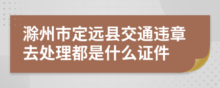 滁州市定远县交通违章去处理都是什么证件