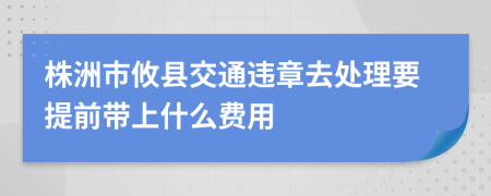 株洲市攸县交通违章去处理要提前带上什么费用