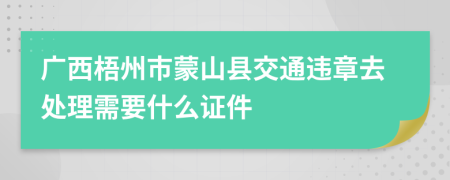 广西梧州市蒙山县交通违章去处理需要什么证件