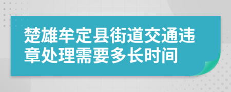 楚雄牟定县街道交通违章处理需要多长时间