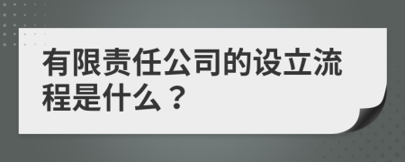 有限责任公司的设立流程是什么？