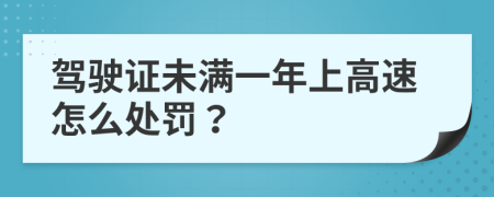 驾驶证未满一年上高速怎么处罚？