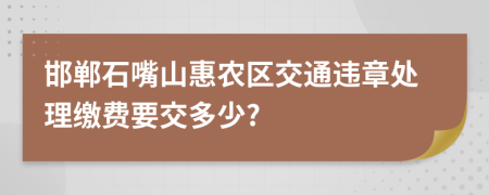 邯郸石嘴山惠农区交通违章处理缴费要交多少?