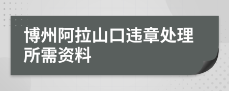 博州阿拉山口违章处理所需资料