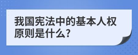 我国宪法中的基本人权原则是什么?