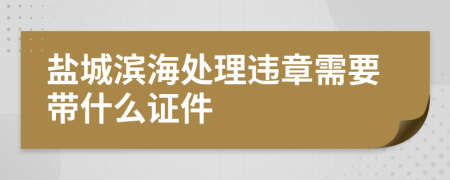 盐城滨海处理违章需要带什么证件