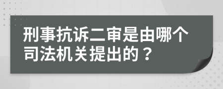 刑事抗诉二审是由哪个司法机关提出的？