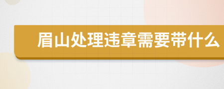 眉山处理违章需要带什么