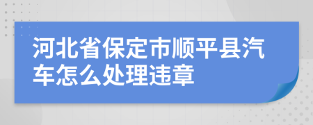 河北省保定市顺平县汽车怎么处理违章