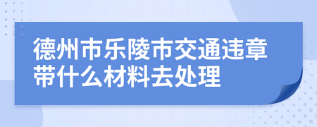 德州市乐陵市交通违章带什么材料去处理