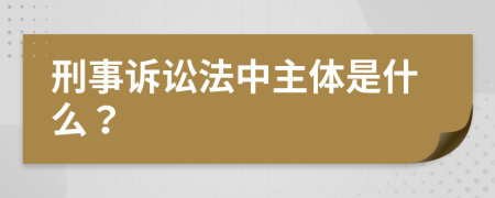 刑事诉讼法中主体是什么？