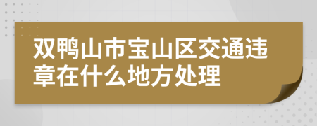 双鸭山市宝山区交通违章在什么地方处理