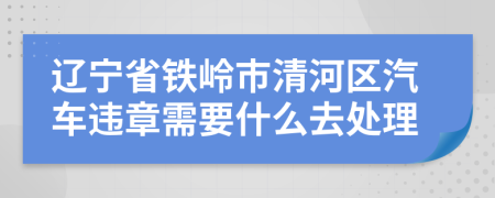 辽宁省铁岭市清河区汽车违章需要什么去处理