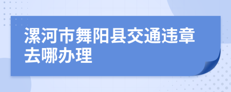 漯河市舞阳县交通违章去哪办理