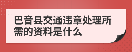 巴音县交通违章处理所需的资料是什么