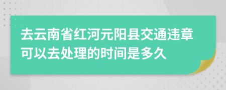 去云南省红河元阳县交通违章可以去处理的时间是多久