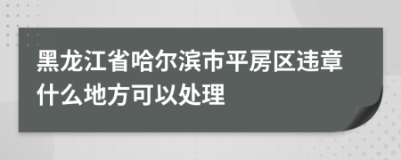 黑龙江省哈尔滨市平房区违章什么地方可以处理