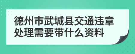 德州市武城县交通违章处理需要带什么资料