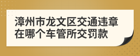 漳州市龙文区交通违章在哪个车管所交罚款