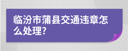 临汾市蒲县交通违章怎么处理?